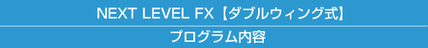 NEXT LEVEL FX【ダブルウィング式】 プログラム内容